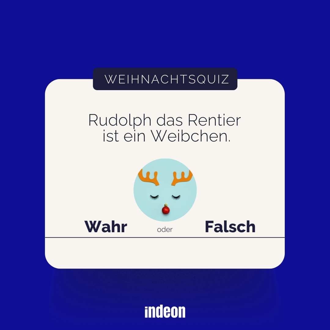 Weihnachtsquiz: Rudolph ist eigentlich ein weibliches Rentier?