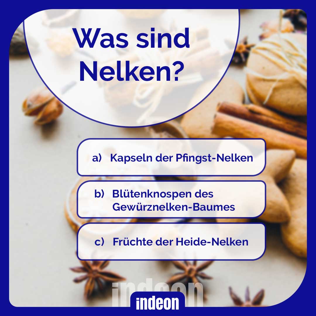 Was sind Nelken?