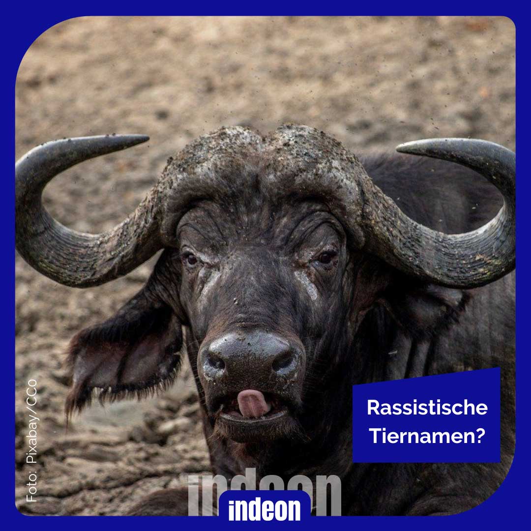 Sind Tiere rassistisch?