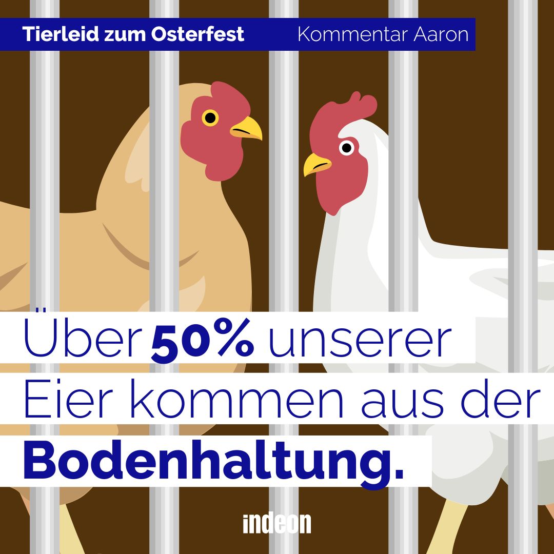 Über 50 % unserer Eier kommen aus der Bodenhaltung