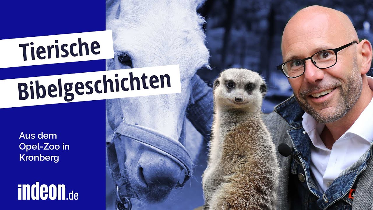 Martin Vorländer mit tierischen Bibelgeschichten aus dem Kronberger Opelzoo