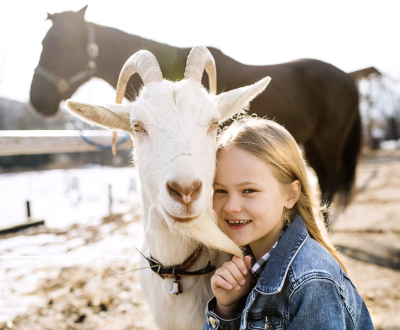 Mädchen hockt nah neben einer Ziege, im Hintergrund steht ein Pferd